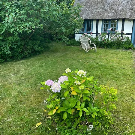 Thatched Half-timbered House On Idyllic