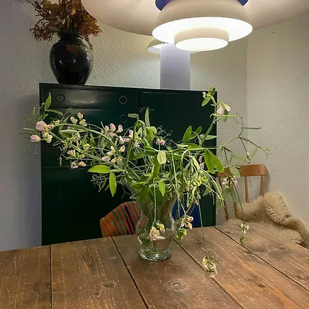 Nyaraló Thatched Half-timbered House On Idyllic