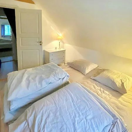 Thatched Half-timbered House On Idyllic Fejo Tatil Evi Vejro