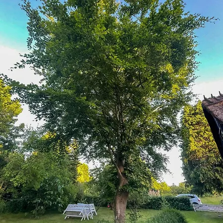Thatched Half-timbered House On Idyllic Vejro