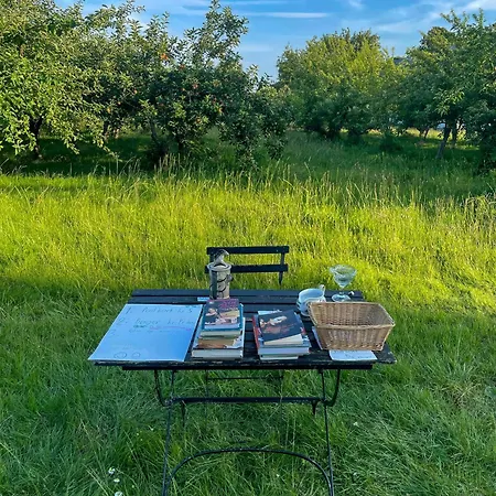 Thatched Half-timbered House On Idyllic * Vejrø