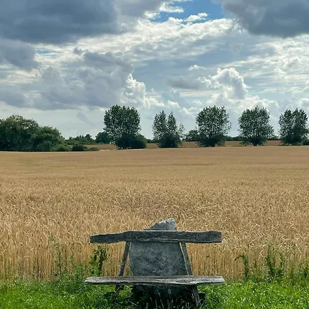 Holiday home Thatched Half-timbered House On Idyllic *