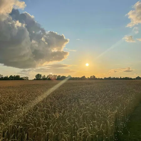 Thatched Half-timbered House On Idyllic