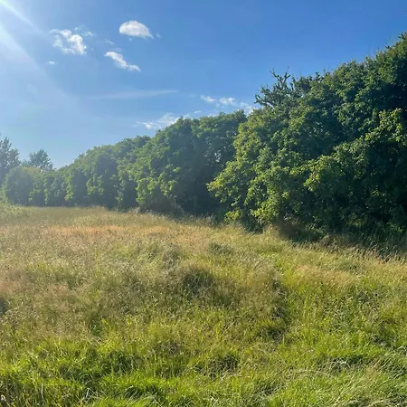Thatched Half-timbered House On Idyllic * Vejrø