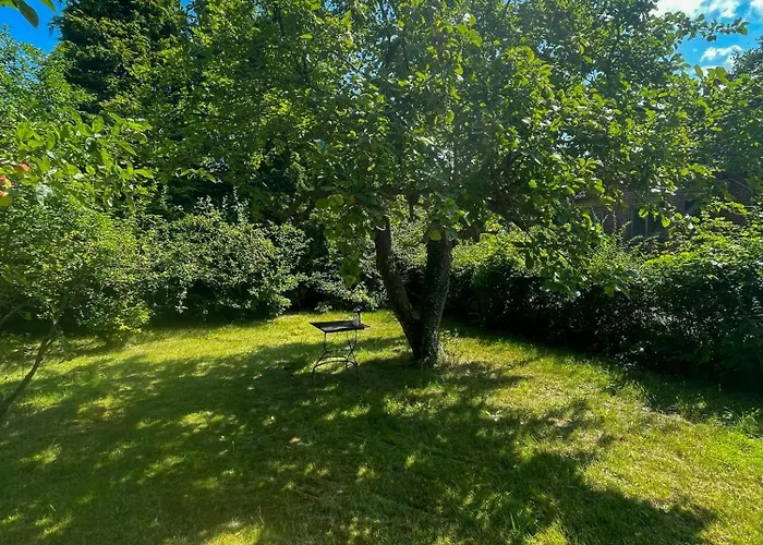 Dom wakacyjny Thatched Half-timbered House On Idyllic *