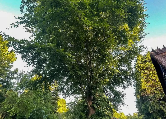 Thatched Half-timbered House On Idyllic Fejo Vejro