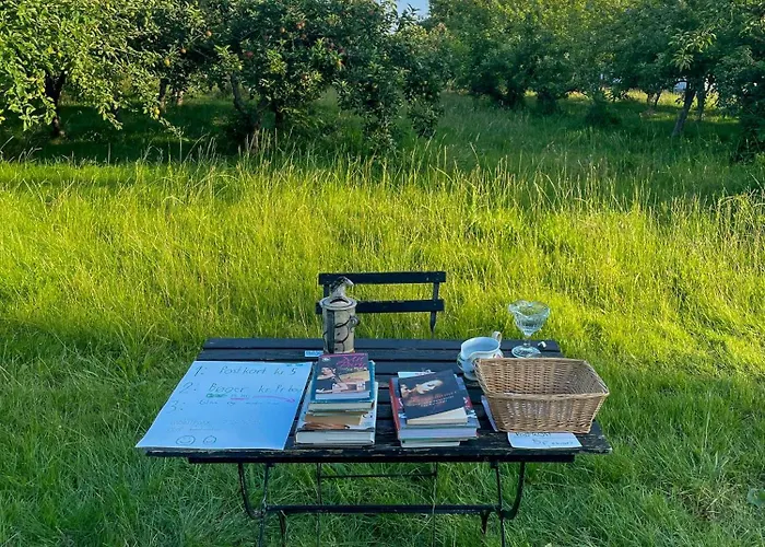 Thatched Half-timbered House On Idyllic Fejo * Vejro