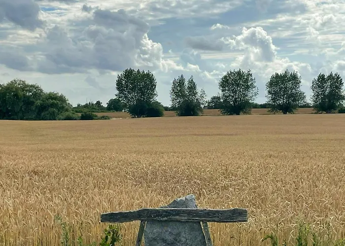 Dom wakacyjny Thatched Half-timbered House On Idyllic *