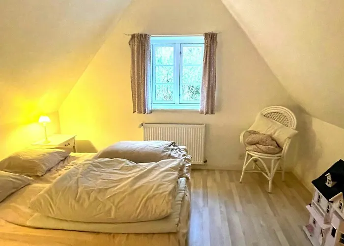 Thatched Half-timbered House On Idyllic Fejo Tatil Evi Vejro