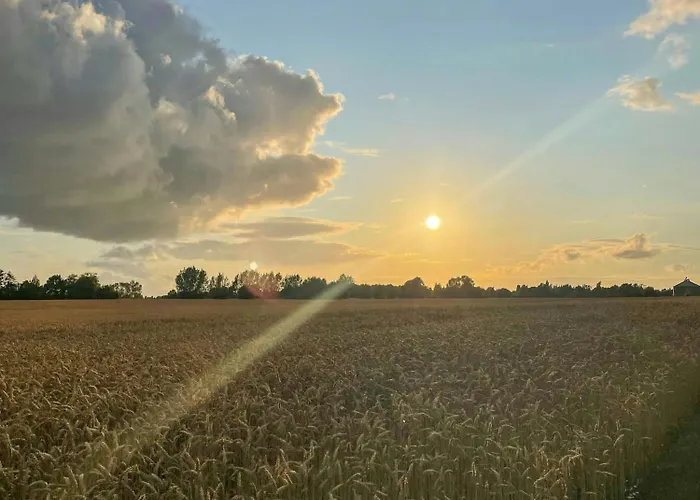Thatched Half-timbered House On Idyllic