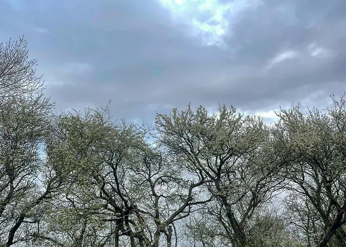 Thatched Half-timbered House On Idyllic Fejo Vejro