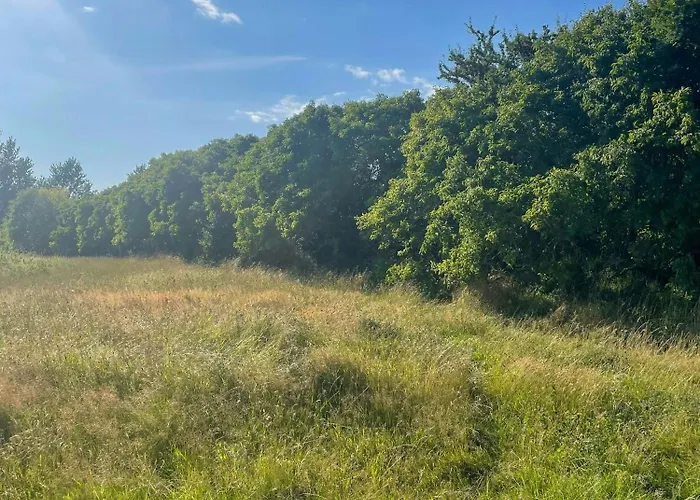 Thatched Half-timbered House On Idyllic Fejo * Vejro