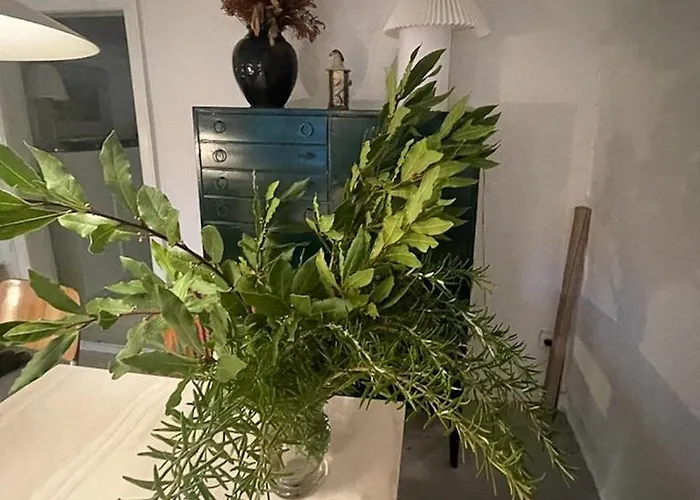 Tatil Evi Thatched Half-timbered House On Idyllic Fejo *